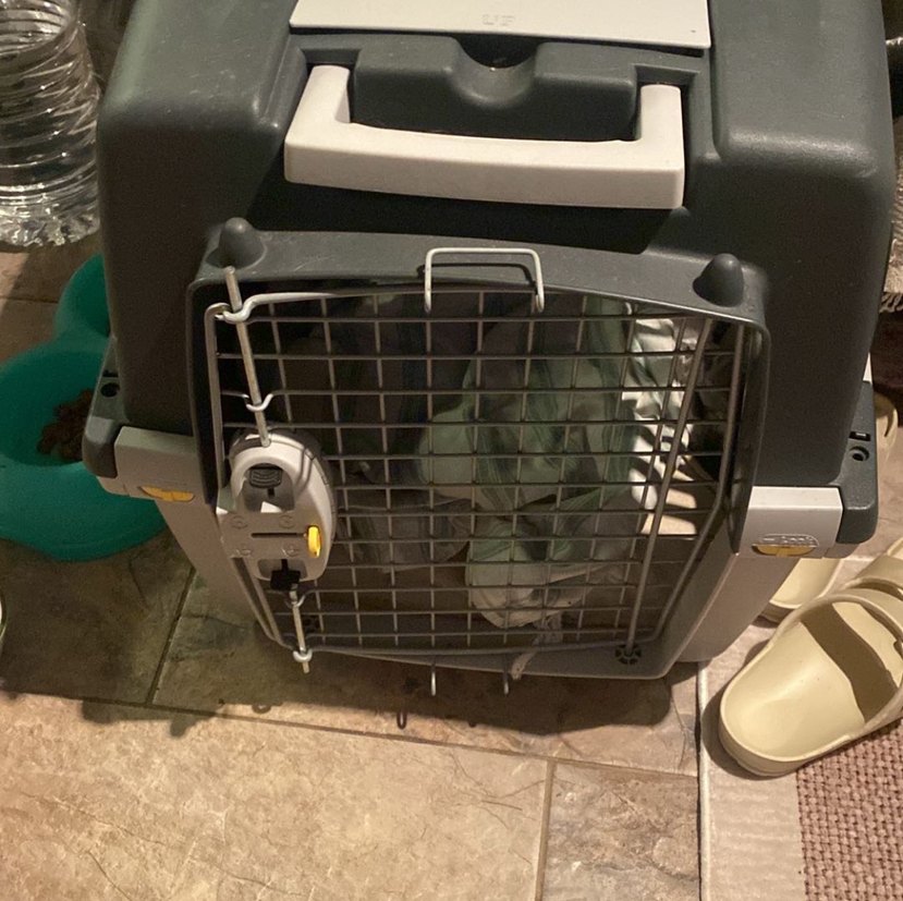 Skudo iata 4 tekerleksiz - Görsel 4