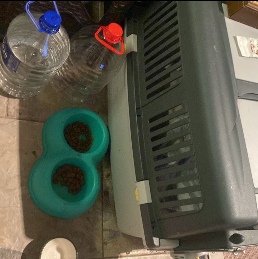 Skudo iata 4 tekerleksiz - Görsel 5