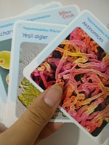 Beden Arkalı önlü bilim çocuk