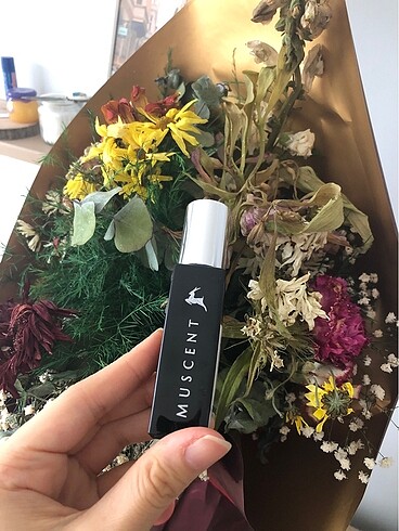 Chloé Chloe Signature