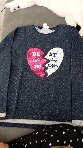 Sweatshirt 