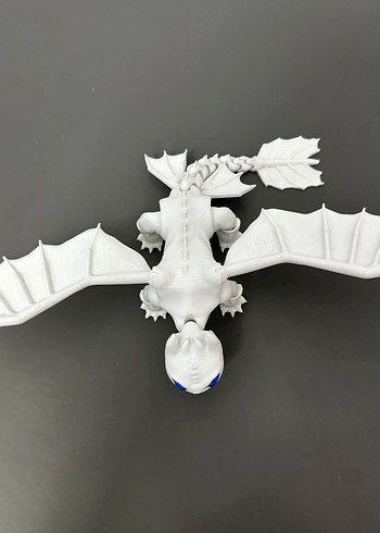 Ejderhanı nasıl eğitirsin ışığın öfkesi - Görsel 2