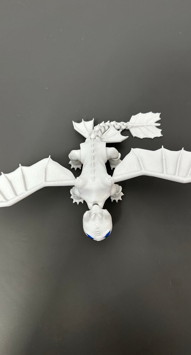 Ejderhanı nasıl eğitirsin ışığın öfkesi - Görsel 2