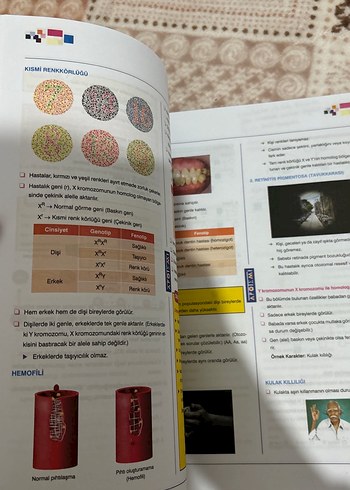 Apotemi TYT Fen Bilimleri Konu Özeti Kitabı - Görsel 5