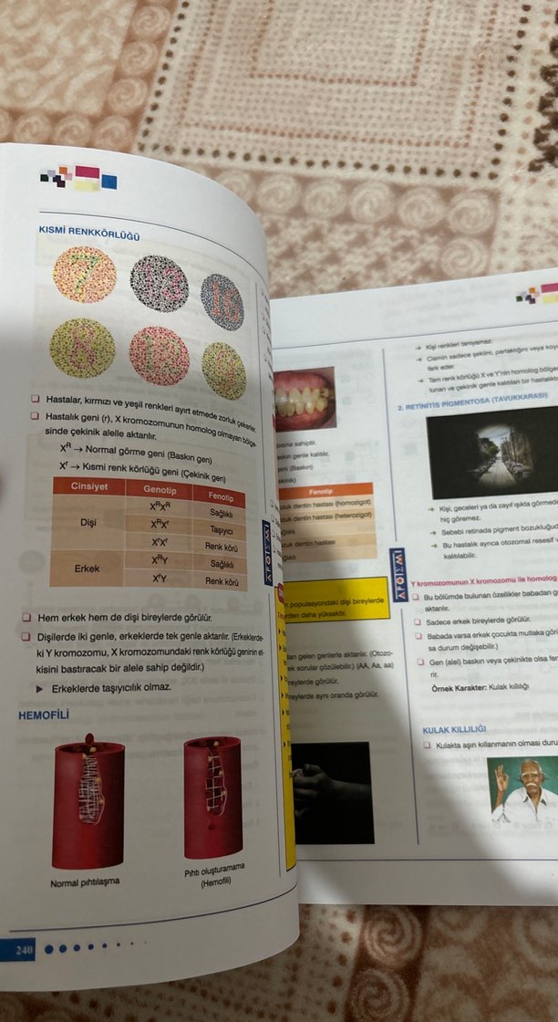 Apotemi TYT Fen Bilimleri Konu Özeti Kitabı - Görsel 5