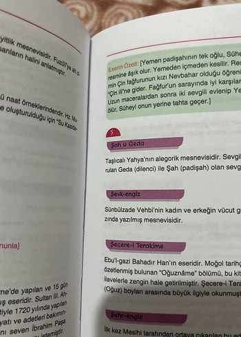 Türk ve Dünya Edebiyatında Eser Özetleri El Kitabı - Görsel 7