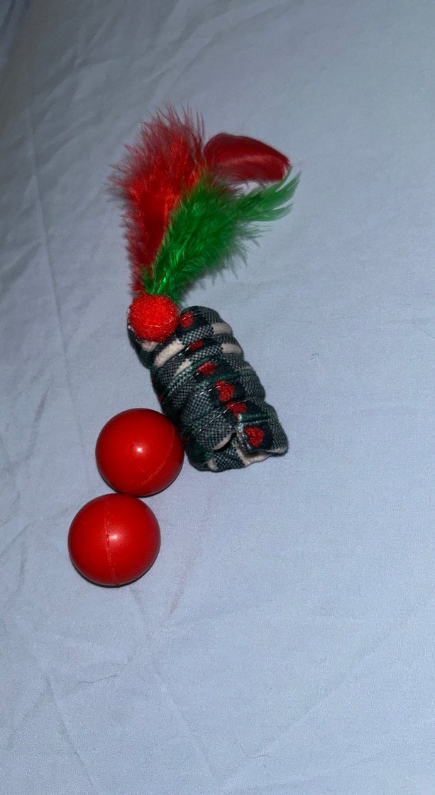 Kedi bakımına yardımcı set - Görsel 4