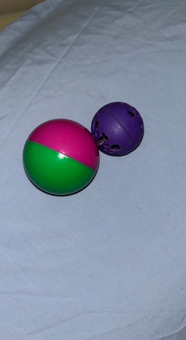 Kedi bakımına yardımcı set - Görsel 5