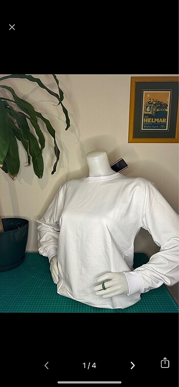 Basic sweatshirt