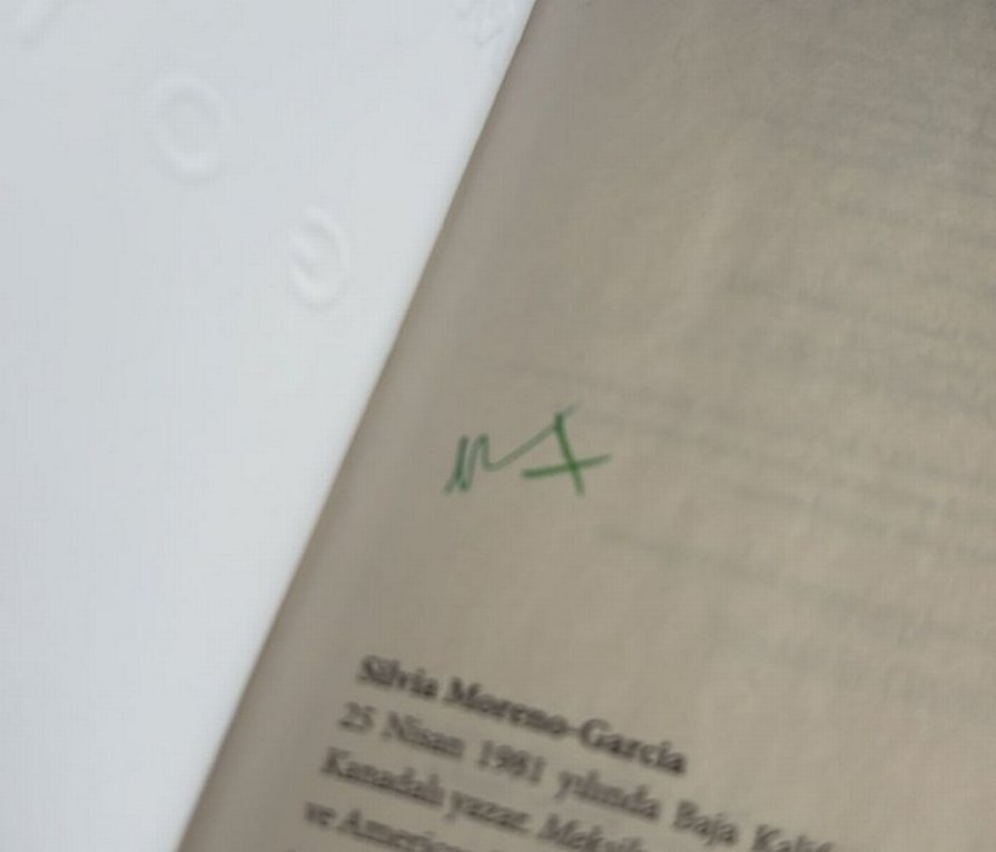 Meksika Gotiği - Silvia Moreno-Garcia - Görsel 3