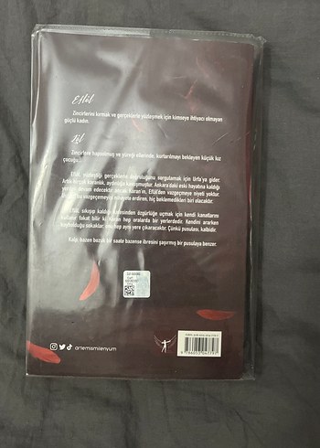 Efsal II - R. İdeli Roman - Görsel 2