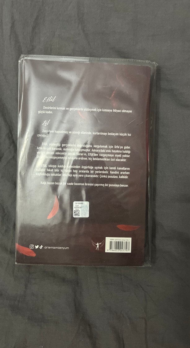 Efsal II - R. İdeli Roman - Görsel 2