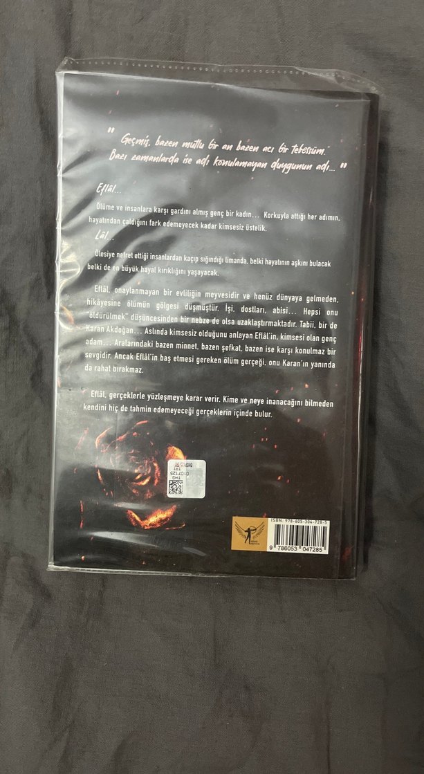 R. İdeli - Eflat Roman - Görsel 2