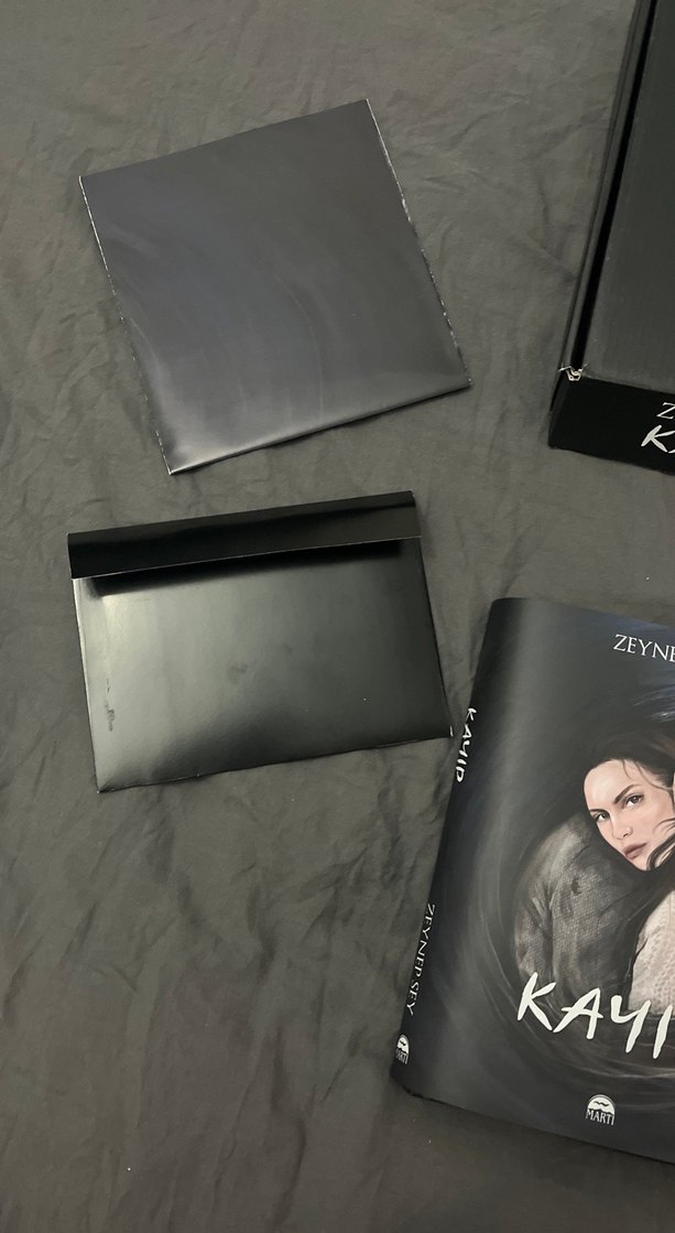 Zeynep Sey - Kayıp Roman - Görsel 2