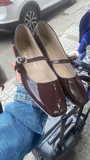 Kahverengi babet - Görsel 2