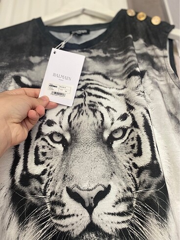 m Beden gri Renk Balmain üst