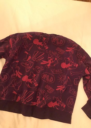 Walt Disney World Disney Sweat