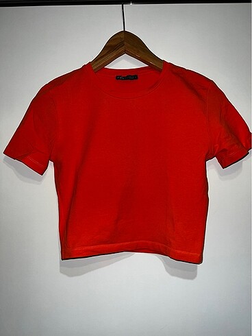 Zara Crop T-shirt