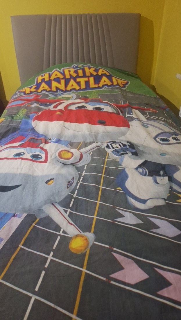 Harika Kanatlar baskılı tek kişilik nevresim takımı - Görsel 2