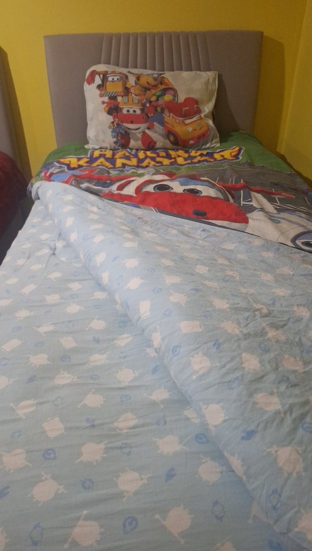 Harika Kanatlar baskılı tek kişilik nevresim takımı - Görsel 3