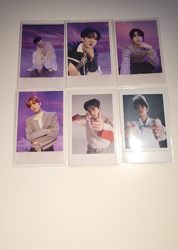 straykids poloraid