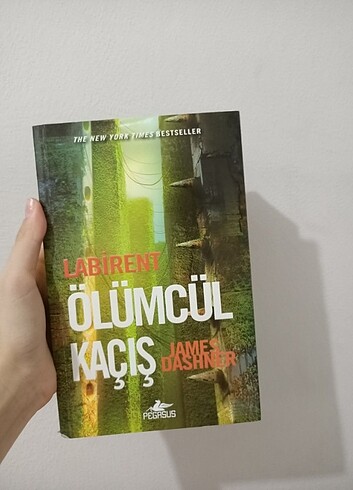 Labirent Serisi: Ölümcül Kaçış 