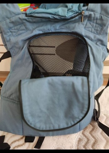 Mavi kangurusu - Görsel 3