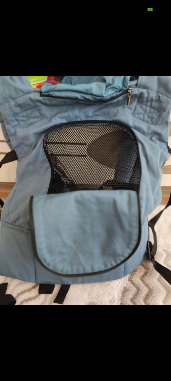 Mavi kangurusu - Görsel 3