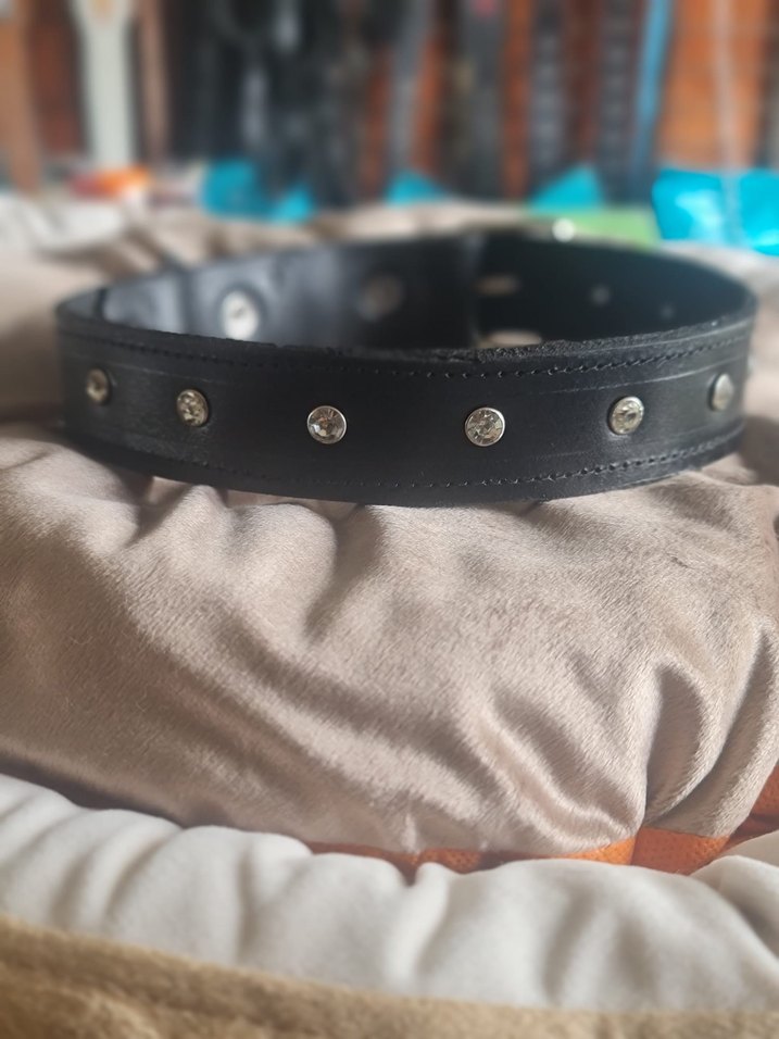 Deri tasma - Görsel 2