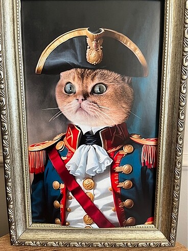 Konsept kedi portresi