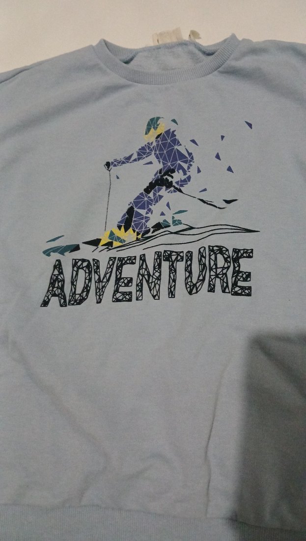 Erkek Çocuk Renkli Kollu Sweatshirt - Görsel 2