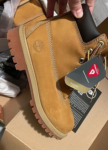 Timberland