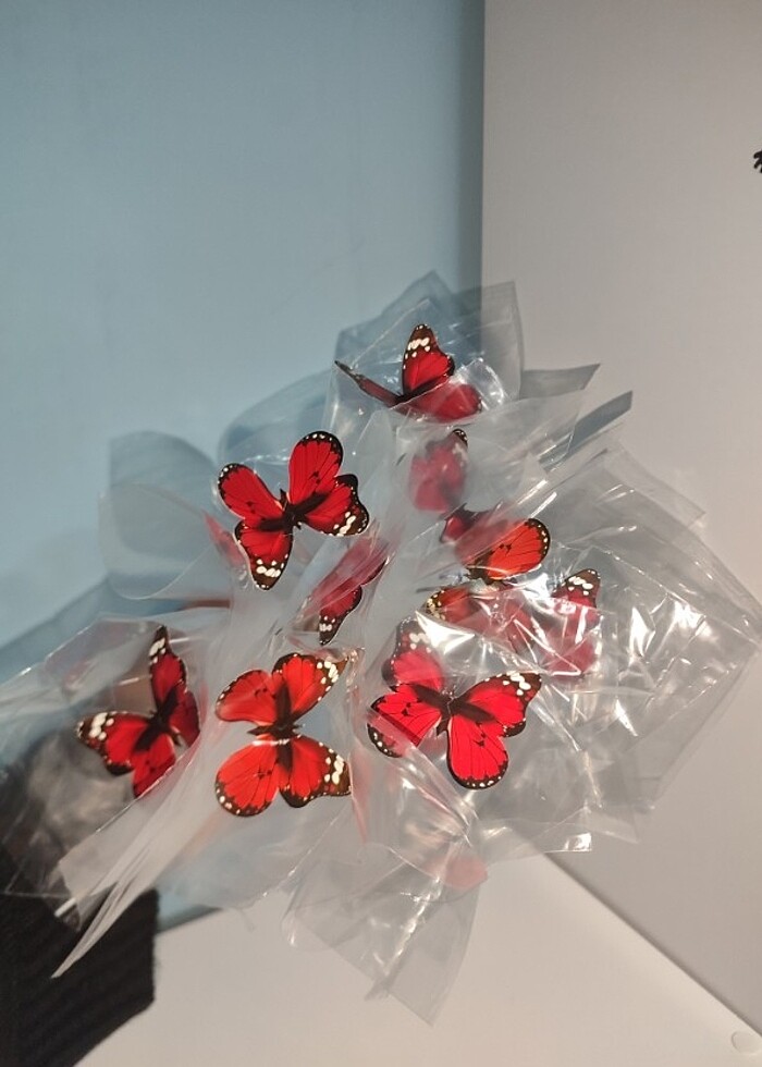 Kelebek buketi  - Görsel 4