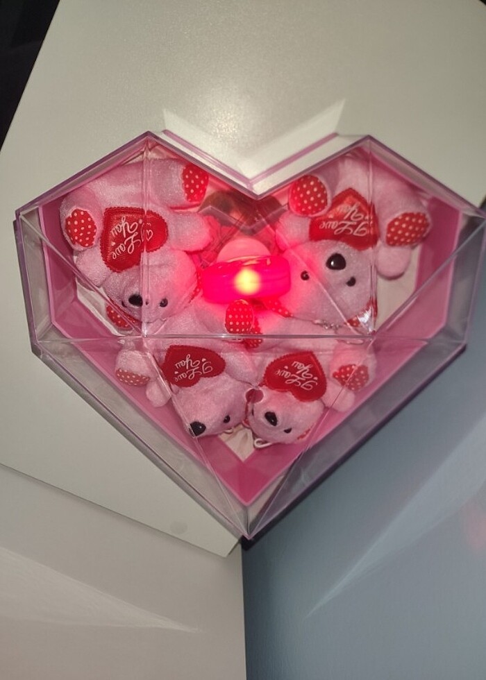 Kalp kutulu ayıcıklı hediyelik - Görsel 4