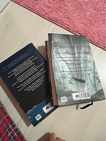 lordlar ve varisler,krallar ve soytarıları