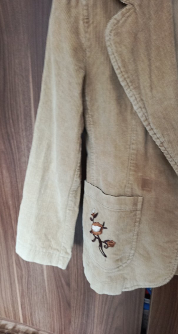 Bej Süet İşlemeli Kadın Kısa Blazer Ceket - Görsel 4