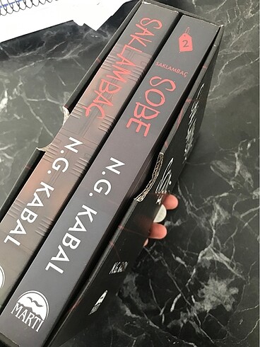  Saklambaç sobe kitap