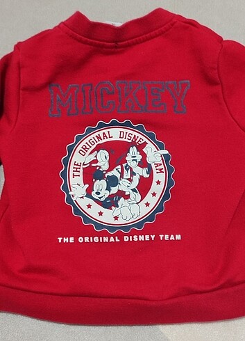 Disney marka bebek hırka