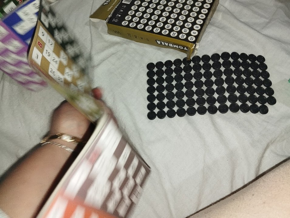 Çok Renkli Tombala Oyun Seti - Görsel 3