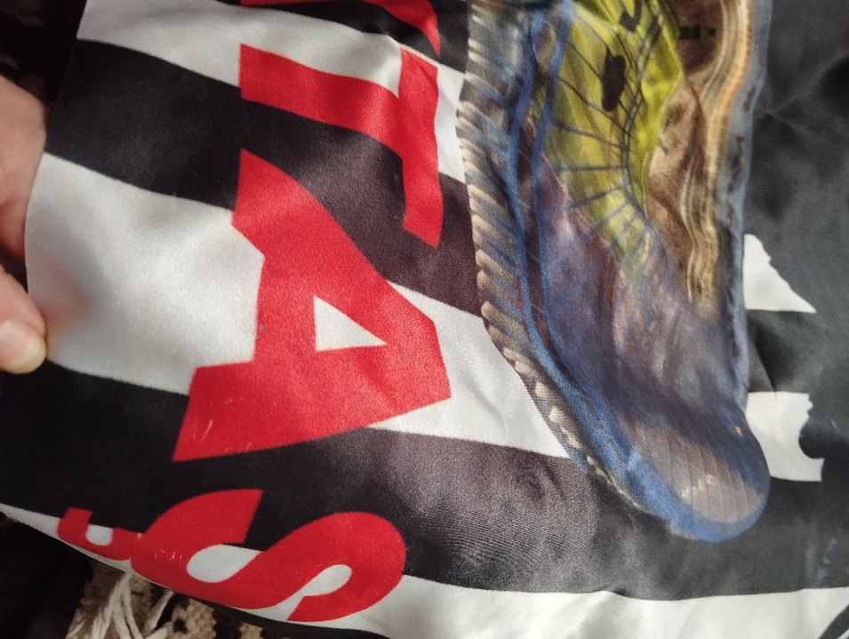 Beşiktaş Baskılı bayrak - Görsel 5