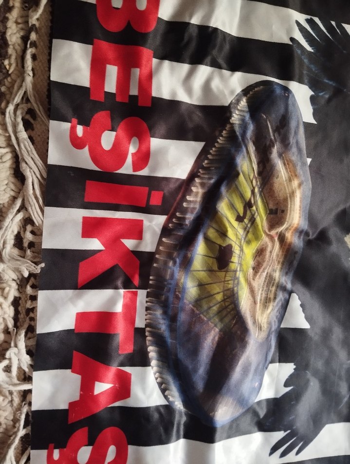 Beşiktaş Baskılı bayrak - Görsel 3