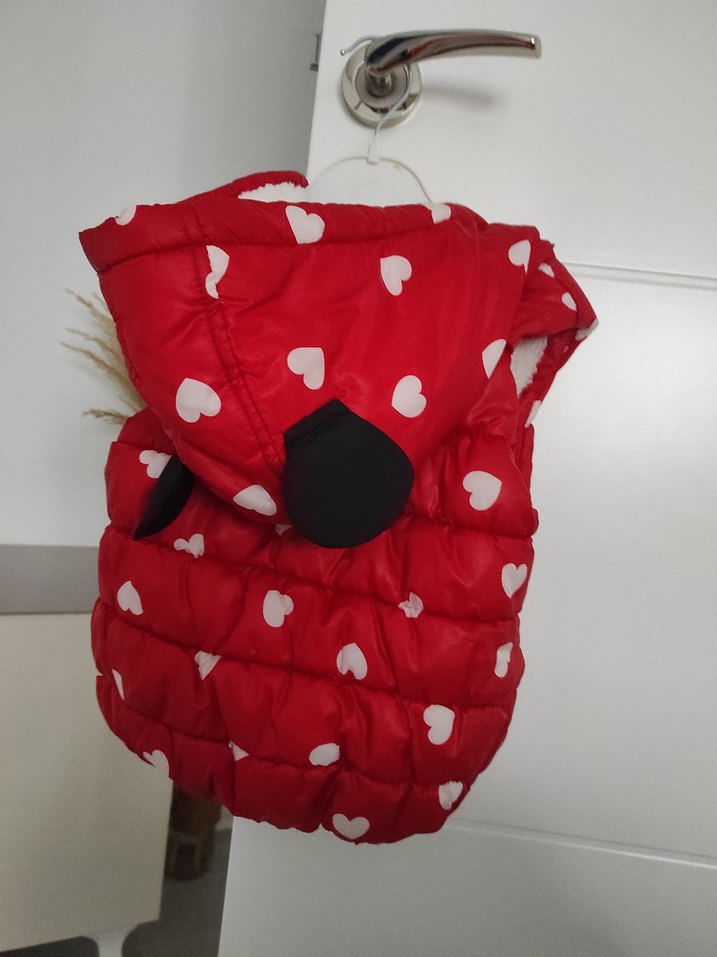 Kız Çocuk Şişme Yelek - Görsel 2