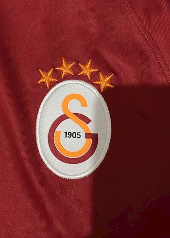 Galatasaray Kadın Kısa Kollu Forma - Görsel 7