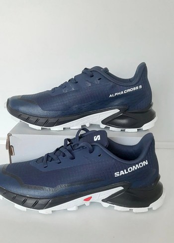 Salomon 41