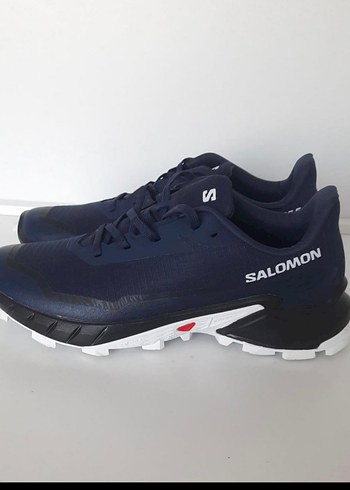 Salomon 43