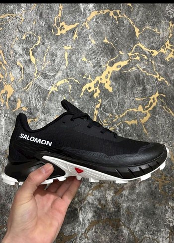 Salomon 40