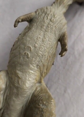 Carnegie carnotaurus  - Görsel 3