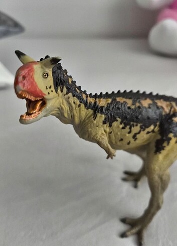 Carnegie carnotaurus  - Görsel 4