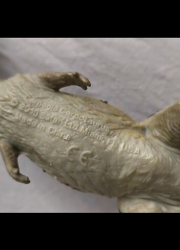 Carnegie carnotaurus  - Görsel 5