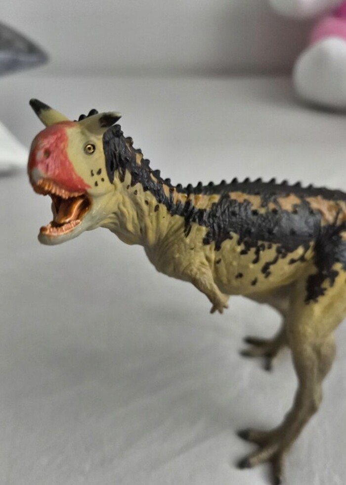 Carnegie carnotaurus  - Görsel 4